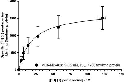 Hazards of Using Masking Protocols When Performing Ligand Binding Assays: Lessons From the Sigma-1 and Sigma-2 Receptors